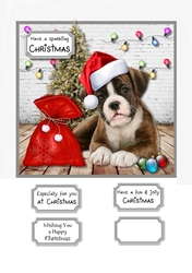 Christmas Dog