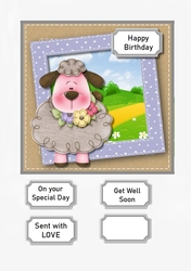 Cute Sheep