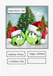 Happy Sprout - Mas