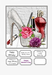 Silver shoes and accessories Birthday or Mothers Day