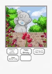 Tatty Teddy Birthday or Mothers Day