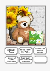 Get Well Bear
