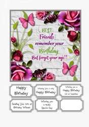 Best Friends Remember your Birthday but forget your age!!