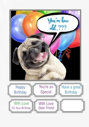 Pug....Youre how old..?????