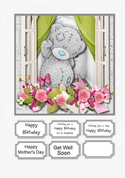 Tatty Teddy Window Box