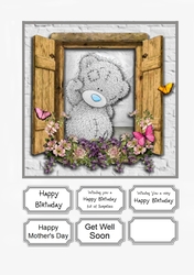 Tatty Teddy Window Box for various occasions