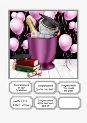 Tatty Teddy Graduation