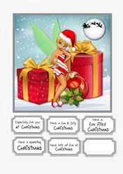 Tinkerbell Christmas