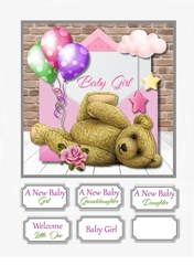 New Baby Girl