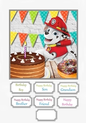 Paw Patrol Birthday