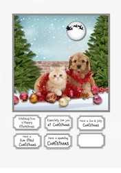 Waiting for Santa Paws