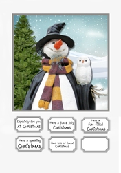 Harry Potter themed Snowman