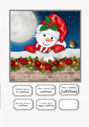Peek a boo snowman