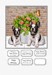 Frenchies