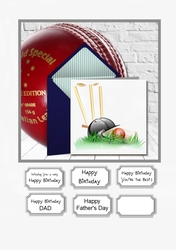 Cricket Mad for Male Birthday, Dad Birthday and Fathers Day