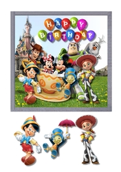 Disney Birthday