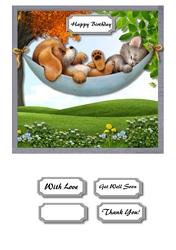 Cute dog and cat in hammock