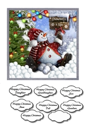 Snowballs for sale