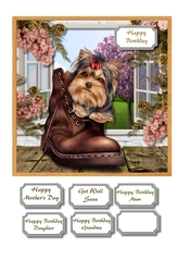 Cute dog in boot on window ledge