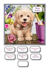 Dog and flowers Mothers Day or female birthday