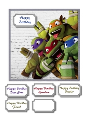 Teenage mutant ninja turtles