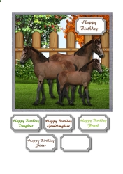 Horse family