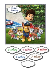 Paw patrol