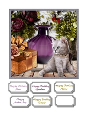 Cute cat with plants, vase and gift box