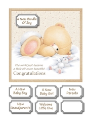 Forever friends new baby girl/boy