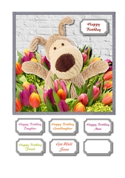 Tiptoe through the tulips Boofle