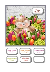 Tiptoe through the tulips hedgehog
