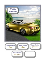 High performance car