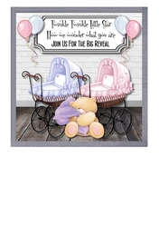 Gender Reveal card front for invitation