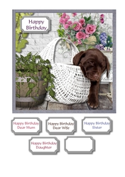 Chocolate labrador with flowers
