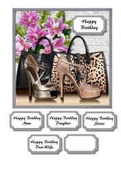 Designer bags and shoes 2