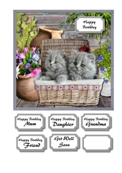Kittens in basket