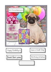Birithday Pug