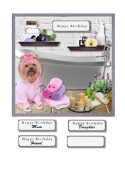 Pampered pooch