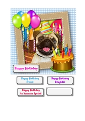Party Pug