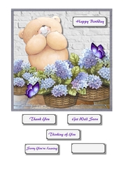 Forever friends bear with flower baskets for various occasions