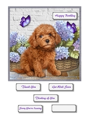 Cute dog with flower baskets