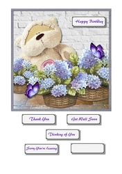 Fizzy Moon bear with flower baskets for various occasions