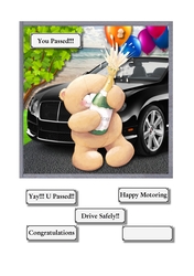 Driving test pass Forever friends male