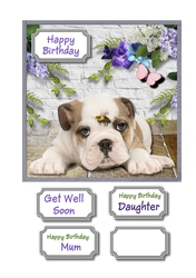 Bulldog and bee birthday or get well soon