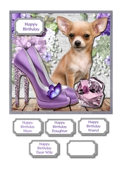 Cute dog with lilac accessories