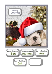 A Puppy Is Not Just For Christmas