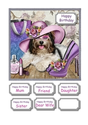 Pampered Pooch