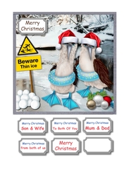 Beware thin ice!