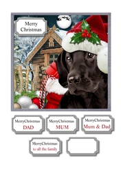 Waiting for Santa Paws