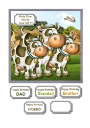 Holy cow, youre how old???